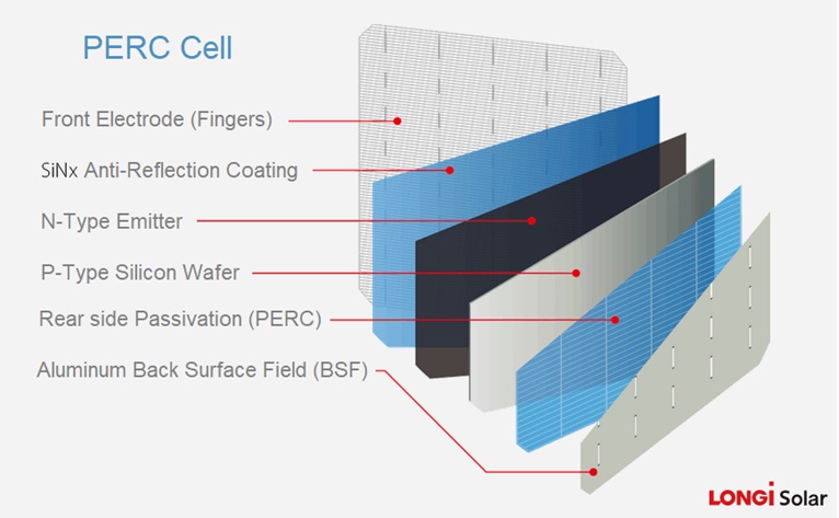 PERC CELL