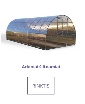Arkinis