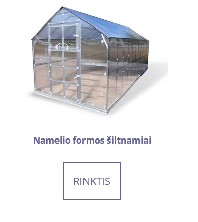 Namelis