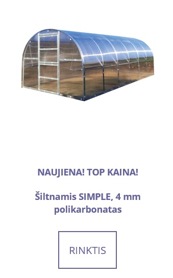 Simple-4mm