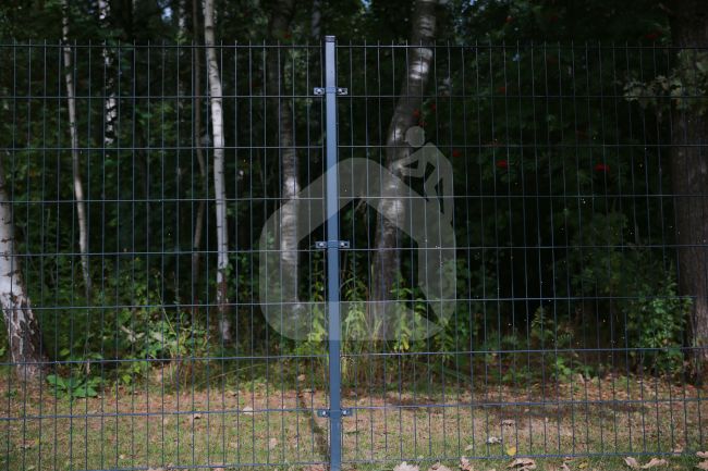 2D segmentas tvorai, 2,5x1,63 m, 200x50 mm, ø6/5/6 mm, ZN+RAL7016