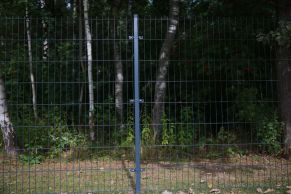 2D segmentas tvorai, 2,5x1,23 m, 200x50 mm, ø5/4/5 mm, ZN+RAL7016