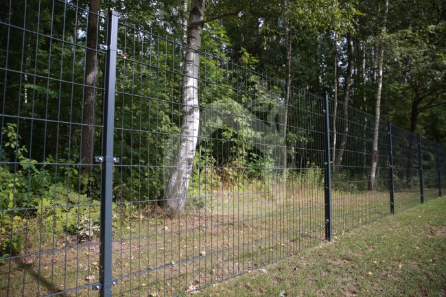 2D segmentas tvorai, 2,5x1,63 m, 200x50 mm, ø6/5/6 mm, ZN+RAL7016