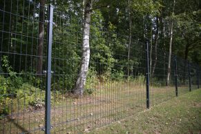2D segmentas tvorai, 2,5x1,43 m, 200x50 mm, ø6/5/6 mm, ZN+RAL7016