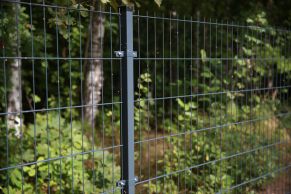 2D segmentas tvorai, 2,5x1,23 m, 200x50 mm, ø5/4/5 mm, ZN+RAL7016