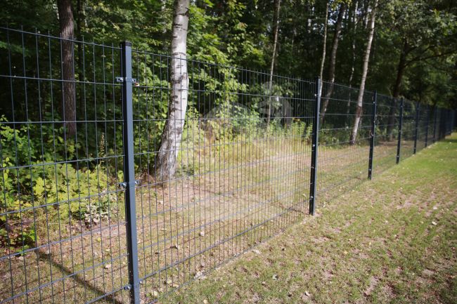 2D segmentas tvorai, 2,5x1,23 m, 200x50 mm, ø5/4/5 mm, ZN+RAL7016