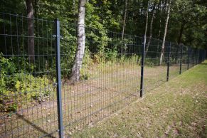 2D segmentas tvorai, 2,5x1,23 m, 200x50 mm, ø5/4/5 mm, ZN+RAL7016