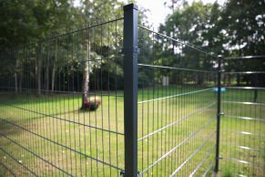 2D segmentas tvorai, 2,5x1,23 m, 200x50 mm, ø6/5/6 mm, ZN+RAL7016