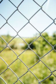 Tvoros tinklas, pintas, 1200 mm, 50x50 mm, ø2,2 mm, 25 m, ZN