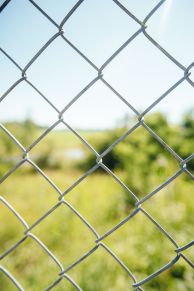 Tvoros tinklas, pintas, 1800 mm, 50x50 mm, ø2,20 mm, 25 m, ZN