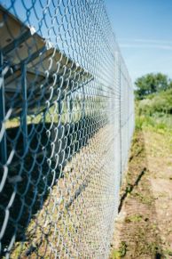 Tvoros tinklas, pintas, 1200 mm, 50x50 mm, ø2,2 mm, 25 m, ZN