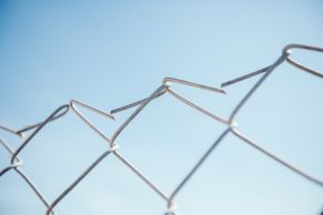 Tvoros tinklas, pintas, 1500 mm, 50x50 mm, ø2,20 mm, 25 m, ZN