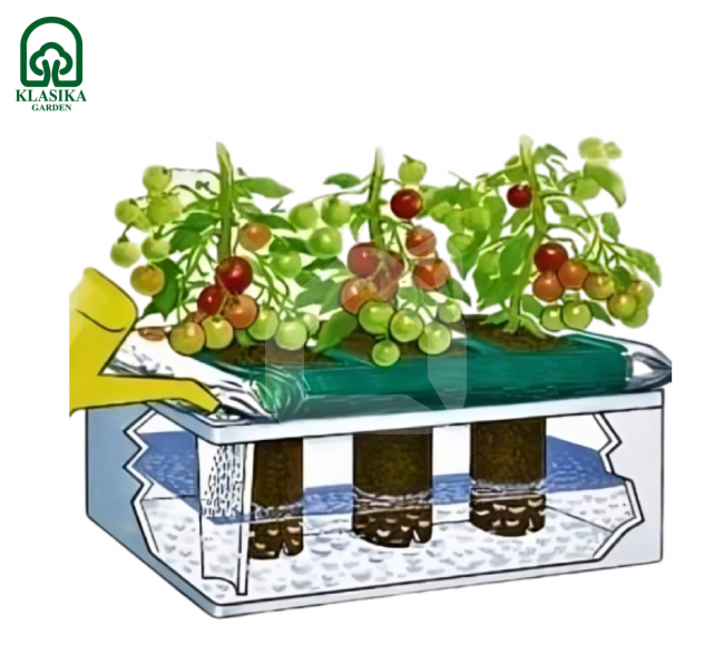 Augalų drėkinimo dėžė KLASIKA Garden Basic