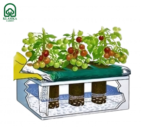 Augu laistīšanas kaste KLASIKA Garden Basic
