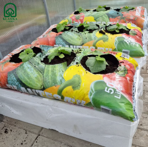 Augalų drėkinimo dėžė KLASIKA Garden Basic