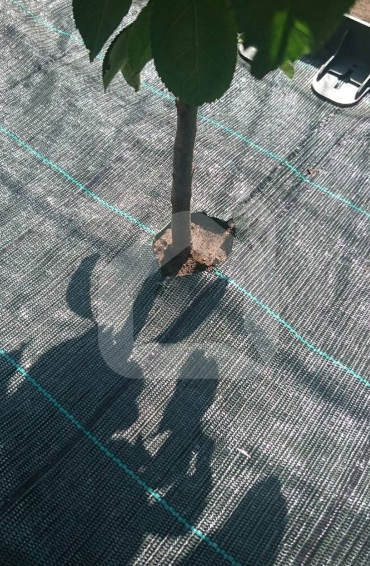 Austs agrotekstilais materiāls (dažādi izmēri)