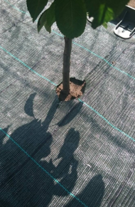 Austinė agrotekstilinė medžiaga (įv. matmenys)