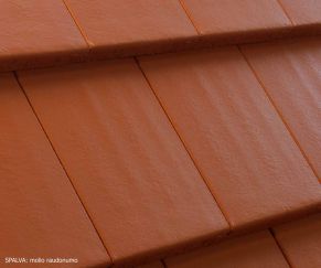 Betoninė čerpė Benders Carisma Benderit