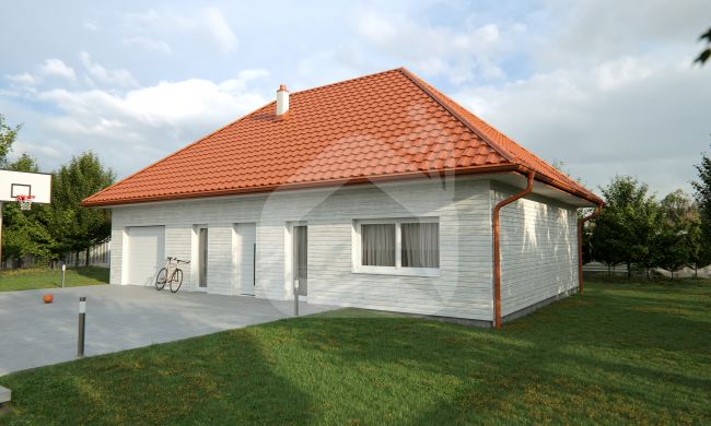 Tērauds SOFFIT, bērza imitācija (ar perforāciju vai bez tās)