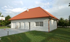 Tērauds SOFFIT, bērza imitācija (ar perforāciju vai bez tās)