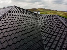 Hibridinė čerpė Centro