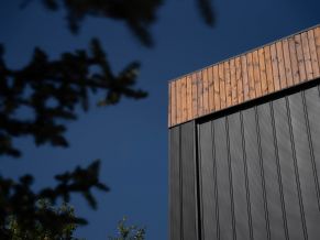 Klasikinis profilis SIMPLA-3 Auksinė pušis 3D, medžio imitacija