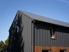 Klasikinis profilis SIMPLA-3 Kreminė pušis 3D, medžio imitacija