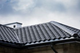 Hibridinė čerpė Centro