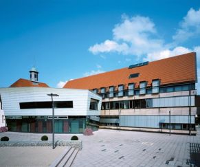 Keraminė čerpė CREATON Domino 100 Naturrot