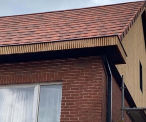 Tejas Borja Flat-10 Moss Red čerpės