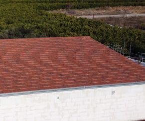 Tejas Borja Flat-10 Moss Red čerpės