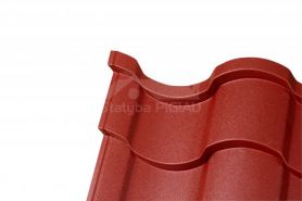 Hibridinė čerpė Centro