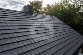 Hibridinė čerpė Horizon