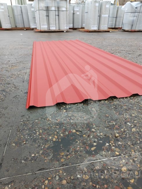 Trapecinis profilis T-18 RAL3009, Matt