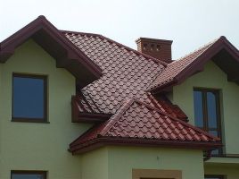 Čerpinių kraigų paskutiniai vienetai (įv. dydžiai ir spalvos)