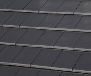 Tejas Borja Flat-10 Graphite čerpės