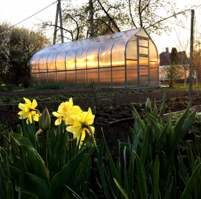 Šiltnamis KLASIKA STANDART 2,5x2 m (5 m²)