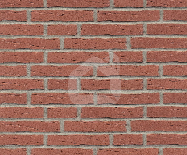 Klinkerinės plytelės R694NF14