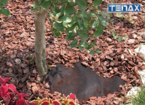 Neaustinė medžiaga mulčiui FULL COVER