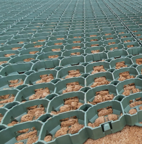 Žolės-vejos korys SG6 575x380x40 mm