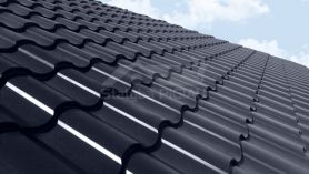 Hibridinė čerpė Centro