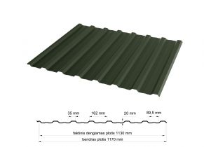 Trapecinis profilis PK-20 RAL6020
