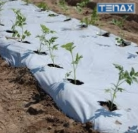 Melna polietilēna plēve BLACK COVER 1,40 x 10m