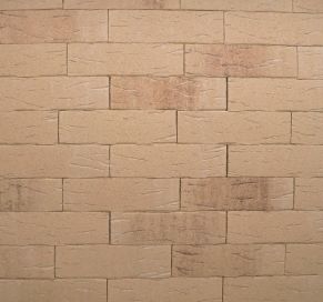 Klinkerinės plytelės R688NF14 (paskutiniai vienetai)