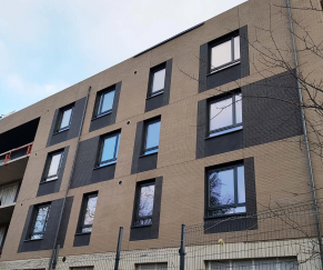 Klinkerinės plytelės R760DF14
