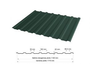 Trapecinis profilis PK-20P RAL6005