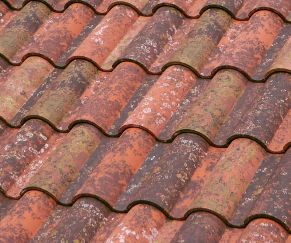 Tejas Borja TB-10 Tech Irati čerpės