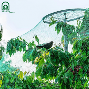 Tinklas nuo paukščių