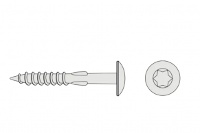 Skrūves Torx CEDRAL paneļu uzstādīšanai, 100 gab.