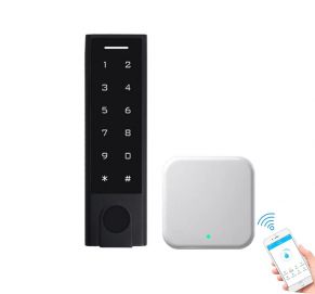 Praėjimo kontrolės klaviatūra IP66 Bluetooth TTLock + WiFi valdiklis